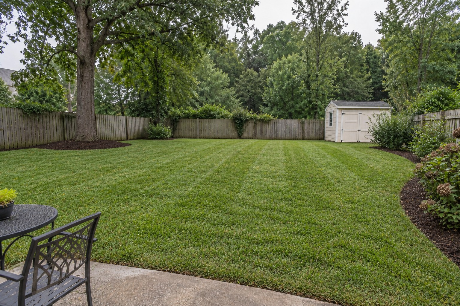Illustrative cleaned backyard with mown lawn and refreshed mulch beds, a cream shed and wooden fence